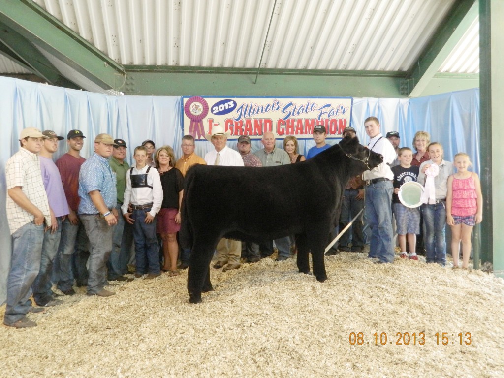 Submitted Brothers Win Big Lovington brothers Zachary and Adam Day each showed at the Illinois State Fair Junior Steer Show two weeks ago. Zachary, 17, (above) showed the Champion AOB (all other breeds) Steer, which went on to win the Reserve Grand Champion Steer overall. Adam, 13, (below) showed the Reserve Champion Angus Steer Aug. 10 and had the Reserve Champion Angus Steer at the Open Steer show the following day. The steer was also the Reserve Grand Champion Land of Lincoln Steer.