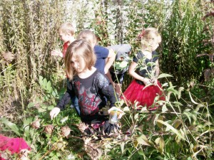 Photo Submitted Along with their classmates, Madison Flexser (front) and Sarina Voegel (right), search throughout various plants for insects.