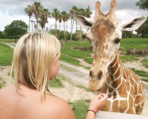 Submitted by Troy Rogers Jazmyn Jane feeds a giraffe during a visit to Busch Gardens in Tampa, Fla., which was just one of several science related experiences Sullivan students encountered on their trip this past June.