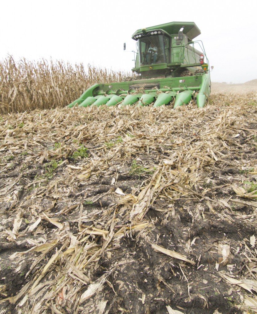 Photo by Keith Stewart Muddy tire tracks from a combine are seen Monday in a field east of Allenville that J.C. Doty began harvesting just prior to the rains that moved into the area later that afternoon.