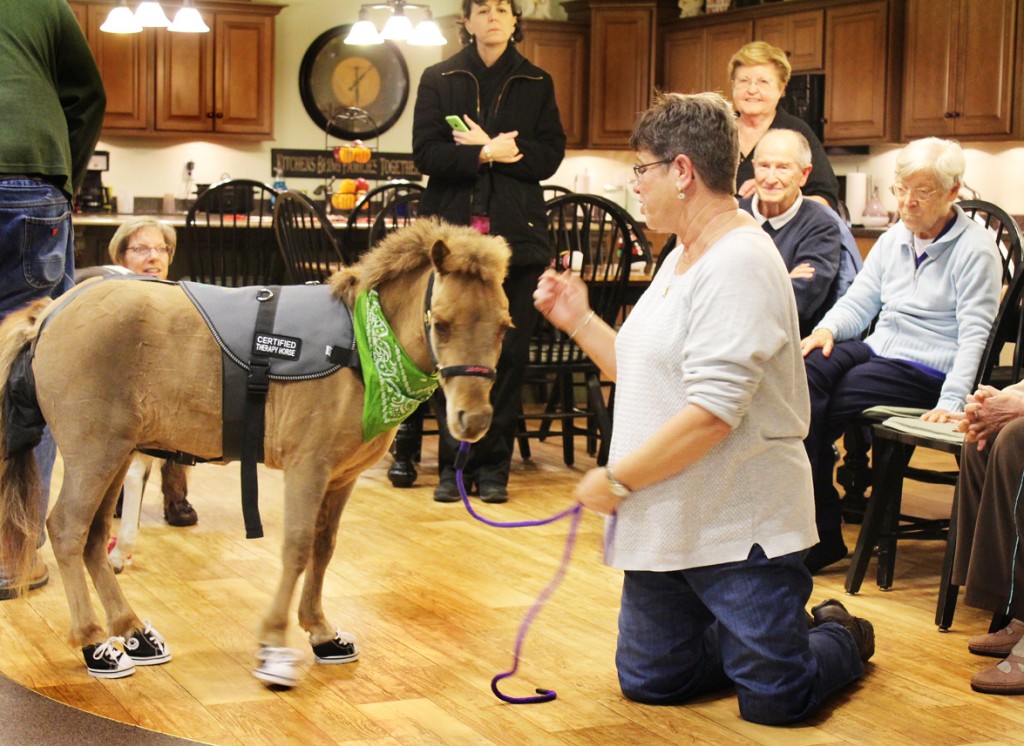 Photo by RR Best Andrea Ebert is seen with Jasper, one of her two mini therapy horses, during a visit to Aspen Creek in early December. 