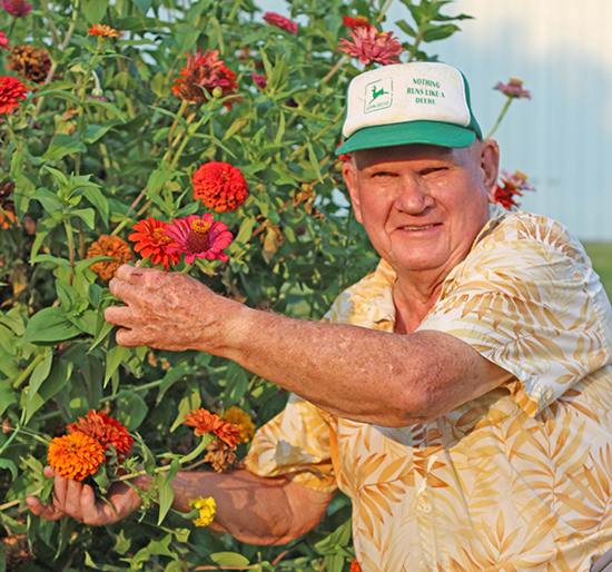 Photo by Darian Hays Butterflies are illusive creatures but Francis Seelow of Lovington has found a way to attract them to his garden.