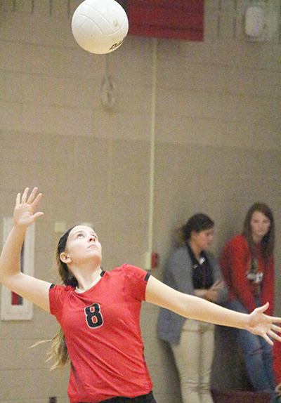 Photo by Darian Hays Erin Wildman of the ALAH Knights volleyball team readys for her serve against Cerro Gordo on Oct. 15 in Arthur.