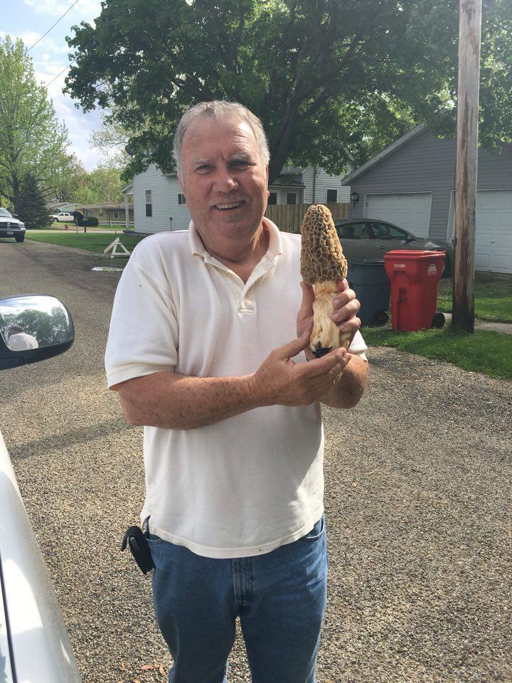 Photo by Daniel Thompson Bud Lash of Bethany found this morels mushroom in town growing by the foundation of a house.